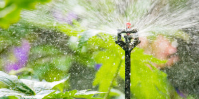 Garden irrigation with an automatic watering system Garden irrigation with an automatic watering system