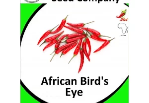 African Birds Eye Chilli Seeds