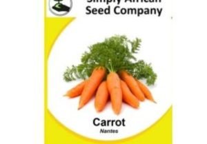 Carrot Nantes Seeds