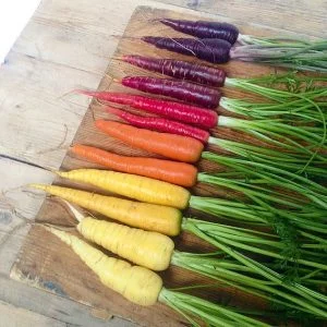 Carrot Rainbow Seeds