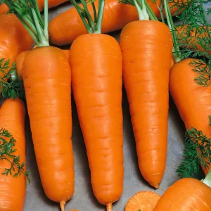 Carrot Chanteney Seeds