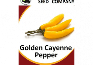 Golden Cayenne Seeds