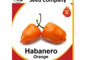 Habanero Orange Seeds