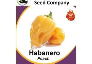 Habanero Peach Seeds