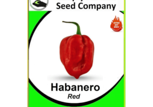 Habanero Red Seeds