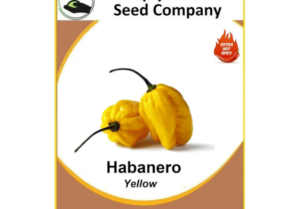 Habanero Yellow Seeds