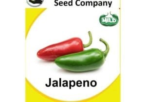 Jalapeno Seeds