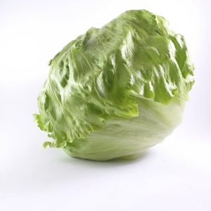 Lettuce Head 200 Plug Tray