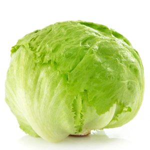 Lettuce Head 6 pack