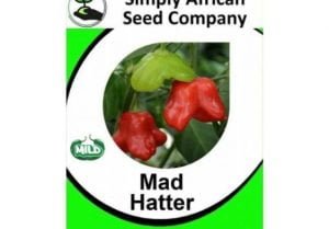 Mad Hatter Chilli Seeds