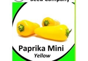 Mini Paprika Yellow Seeds