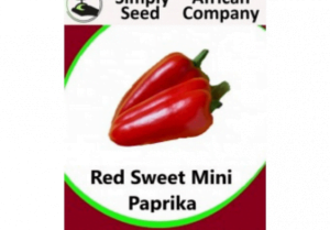 Mini Sweet Paprika Red Seeds