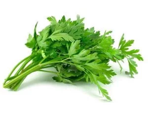 Parsley 200 Plug Tray