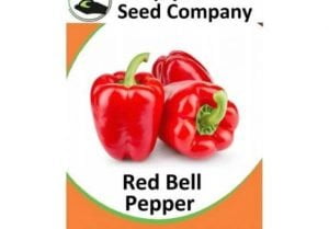 Red Bell Pepper Seeds