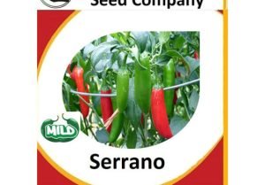 Serano Chilli Seeds