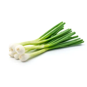 Spring Onion 200 Plug Tray