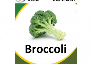 Broccoli Seeds