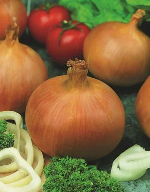 Onion-Mixed Sets Bulbs