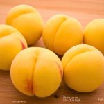 Bonnigold Peach Tree 10lt