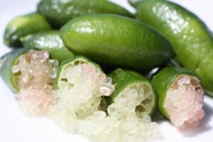 Finger Lime - Caviar Lime 20lt