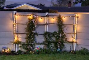 Solar Fairy String Lights