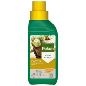 Pokon - Cactus and Succulent Plant Food - 250ml