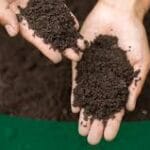 Compost, Soils and More