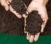 Compost, Soils and More