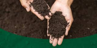 Compost, Soils and More
