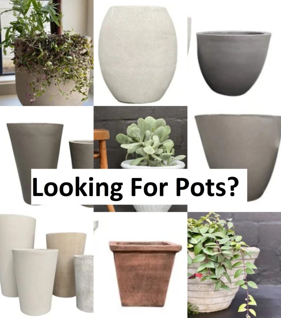 Garden pots For Sale at www.clicknplant.co.za