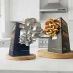 Mushroom Products