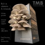 Black Pearl Oyster Mushroom Box brought to you www.clicknplant.co.za and the mushroom box