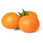 Naartjie Clementine Tree 60lt