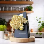 Golden Oyster Mushroom Box brought to you by www.clicknplant.co.za and the mushroom box
