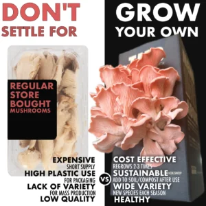 Pink Oyster Mushroom Box fom the mushroom box and clicknplant nursery