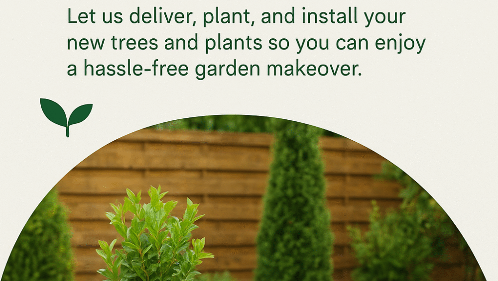 🌱 We Don’t Just Sell Plants — We Plant Them for You!