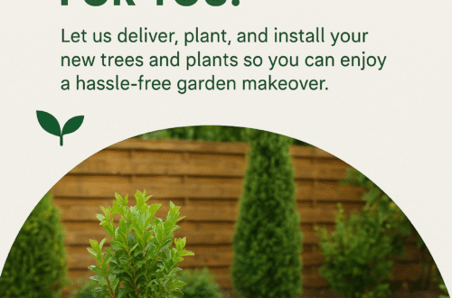 🌱 We Don’t Just Sell Plants — We Plant Them for You!