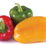 Capsicum Sweet Bell Pepper Mix 4 Pack Tray
