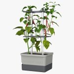 Charly Chilli Planter
